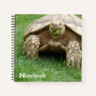 Niedliche Tortoise Lettuce Notizbuch