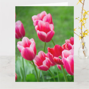 Niedliche Tulips im Garten Karte