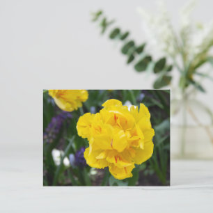 Niedliche Tulpen im Garten Postkarte