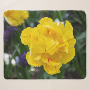 Niedliche Tulpen im Garten Sherpadecke