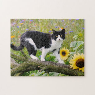 Niedliche Tuxedo-Katze auf einem Baumzweig mit Son