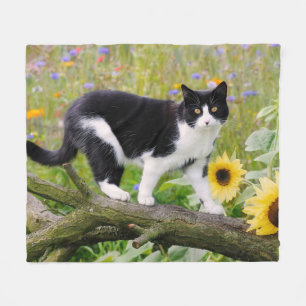 Niedliche Tuxedo-Katze auf einem Baumzweig mit Son Fleecedecke