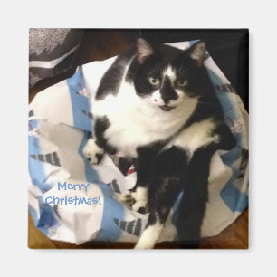 Niedliche Tuxedo-Katze, auf heutigen Weihnachtsmag Magnet