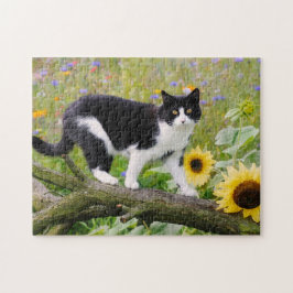 Niedliche Tuxedokatze auf einem Baumzweig mit Sonn