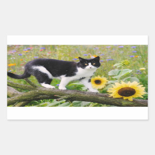 Niedliche Tuxedokatze auf einem Baumzweig mit Sonn Rechteckiger Aufkleber