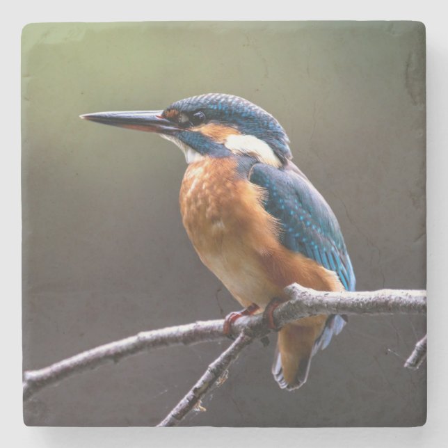 Niedliche und farbenfrohe Kingfisher oder Alcedini Steinuntersetzer (Vorderseite)