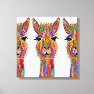 Niedliche und farbenfrohe Lama-Leinwand - 20" x 20 Leinwanddruck