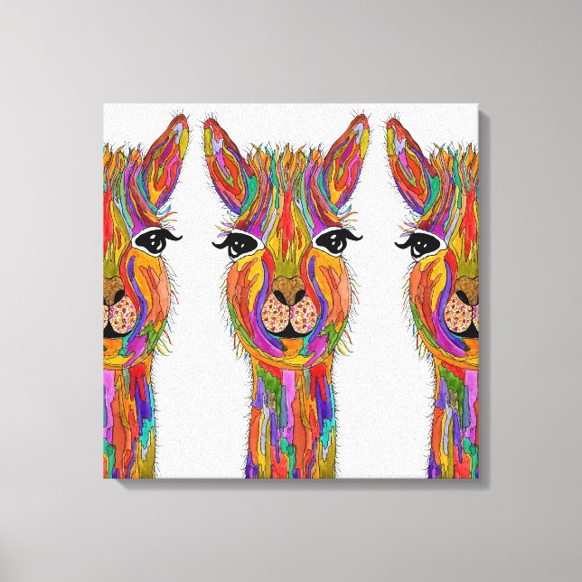 Niedliche und farbenfrohe Lama-Leinwand - 20" x 20 Leinwanddruck (Vorderseite)