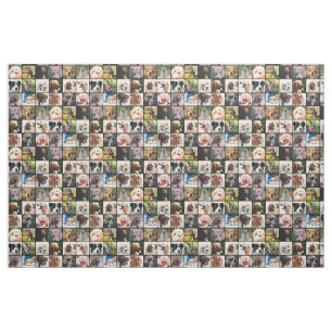 Niedliche und lustige Hunde Fotomaterial Stoff