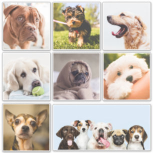 Niedliche und lustige Hunde (oder IHRE Fotos) Aufk Aufkleber