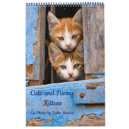 Niedliche und lustige Kittens Cat Foto Kalender