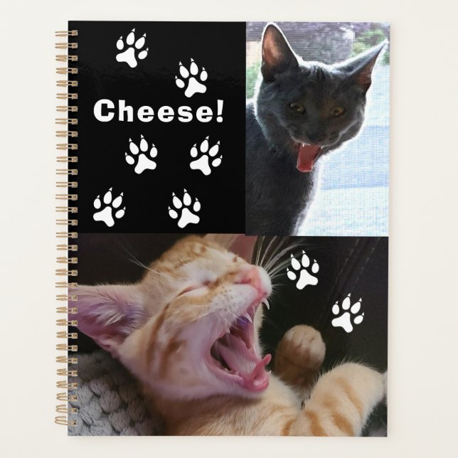 Niedliche und lustige lachende Katzen Planer (Vorderseite)