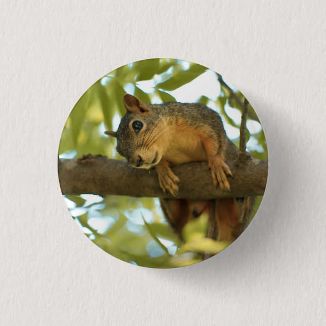 Niedliche und merkwürdige Eichhörnchenfotografie Button (Vorderseite)