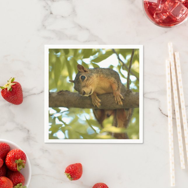 Niedliche und merkwürdige Eichhörnchenfotografie Serviette (Beispiel)