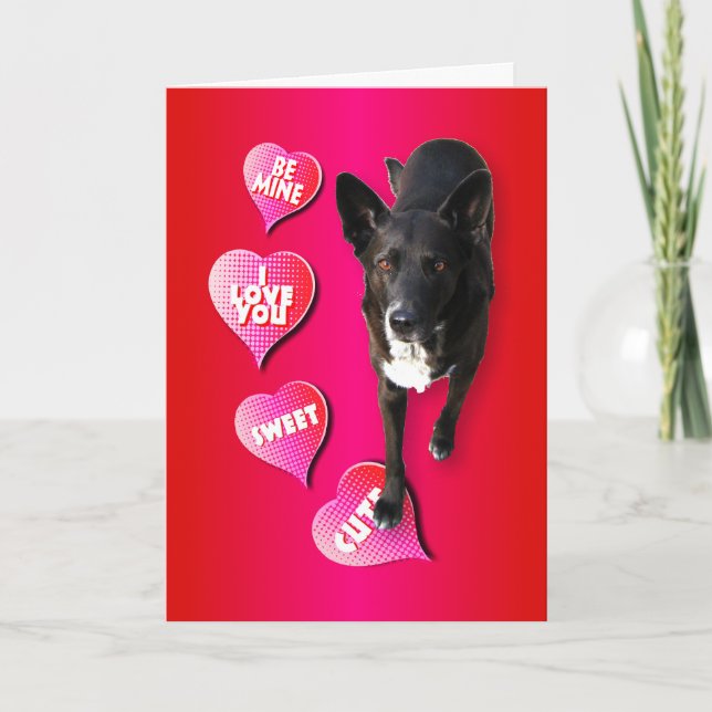 Niedliche Valentine-Hundekarte Feiertagskarte (Vorderseite)