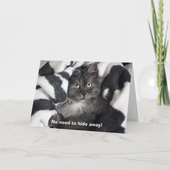 Niedliche versteckte Katze Geburtstag Karte (Vorderseite)