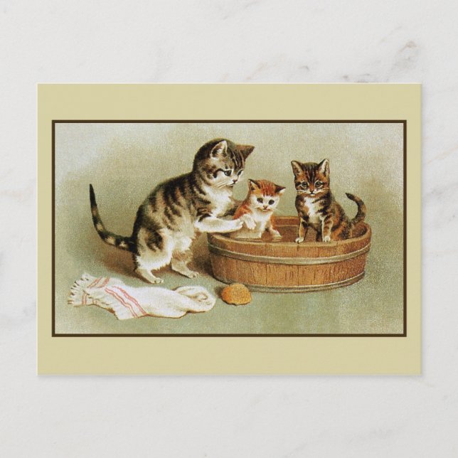 Niedliche Viktorianische Katzenbäder in Badewanne Postkarte (Vorderseite)