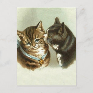 Niedliche Vintage Katzen Postkarte
