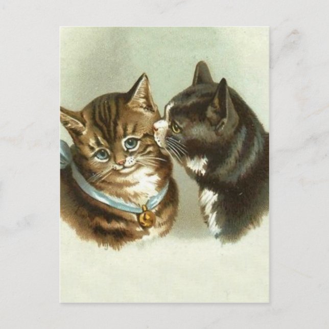 Niedliche Vintage Katzen Postkarte (Vorderseite)