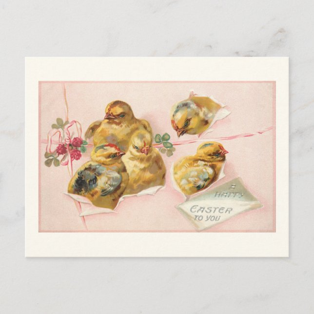 Niedliche Vintage Osterküken in Packung Postkarte (Vorderseite)