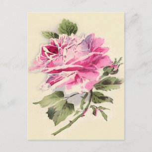 niedliche Vintage Rose Postkarte