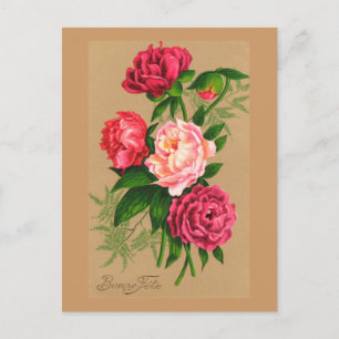 Niedliche Vintage Rosen Postkarte