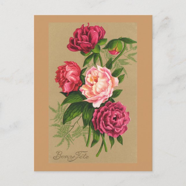 Niedliche Vintage Rosen Postkarte (Vorderseite)