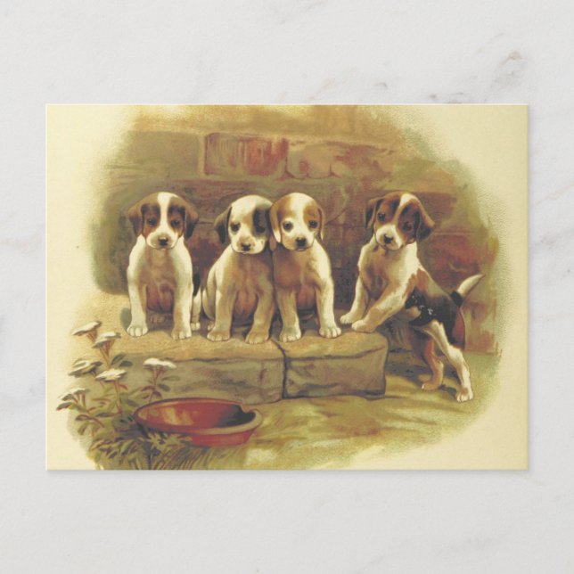 Niedliche Vintage Welpen Postkarte (Vorderseite)