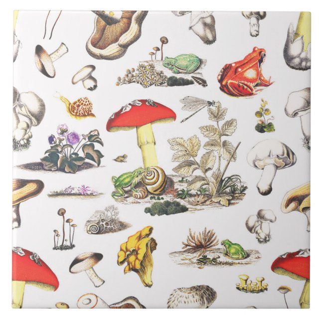 Niedliche Waldhühner-Schnecke Fliese (Vorderseite)