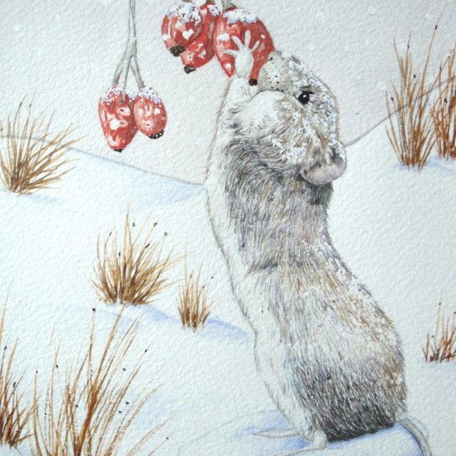niedliche Waldmaus Winterschneewelt (Von Creator hochgeladen)