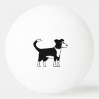 Niedliche walisische Border Collie Dog