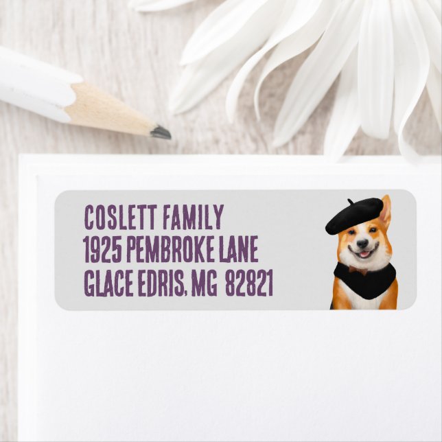 Niedliche walisische Corgi Hunde tragen Beret und  (Insitu)