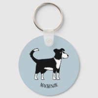 Niedliche walisische Grenzkollie Sheepdog Individu