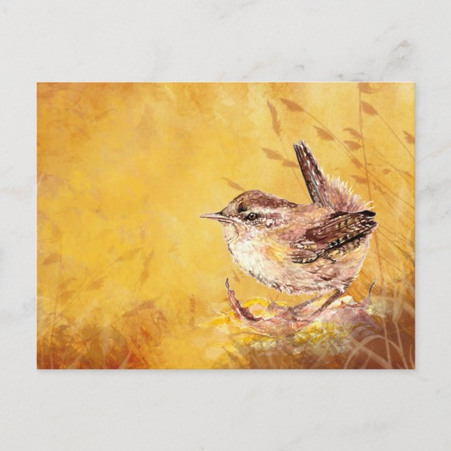 Niedliche Wasserfarbenwelt Wren Bird Naturkunst Postkarte (Vorderseite)