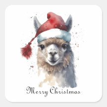 Niedliche Weihnachten Alpaca, Brauch