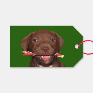 Niedliche Weihnachten Geschenkanhänger