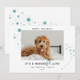 Niedliche Weihnachten ist ein WonderFUR Life Pet F