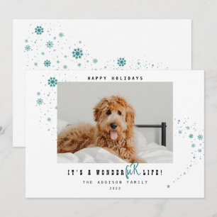 Niedliche Weihnachten ist ein WonderFUR Life Pet F