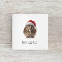 Niedliche Weihnachts-Kiwi, Brauch