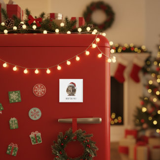 Niedliche Weihnachts-Kiwi, Brauch Magnet