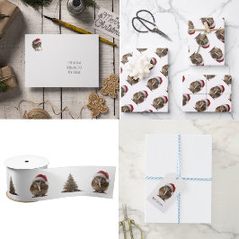 Niedliche Weihnachts-Kiwi, Brauch Seidenpapier