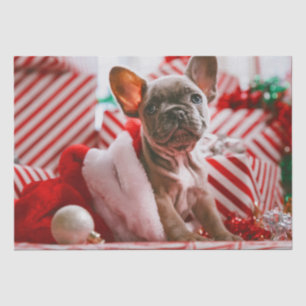 Niedliche Weihnachts Welpengeschenke Seidenpapier