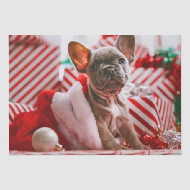 Niedliche Weihnachts Welpengeschenke Seidenpapier (Vorderseite)