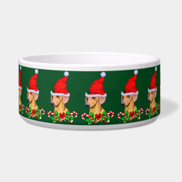 Niedliche Weihnachtsfeiertage Dackel Napf