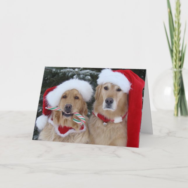 Niedliche Weihnachtsfeiertage Feiertagskarte (Vorderseite)