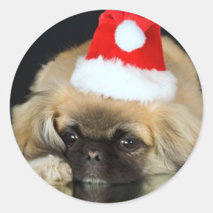 Niedliche Weihnachtshundekleber Runder Aufkleber