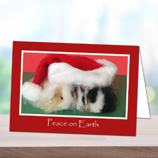 Niedliche Weihnachtskarte Guinea Feiertagskarte