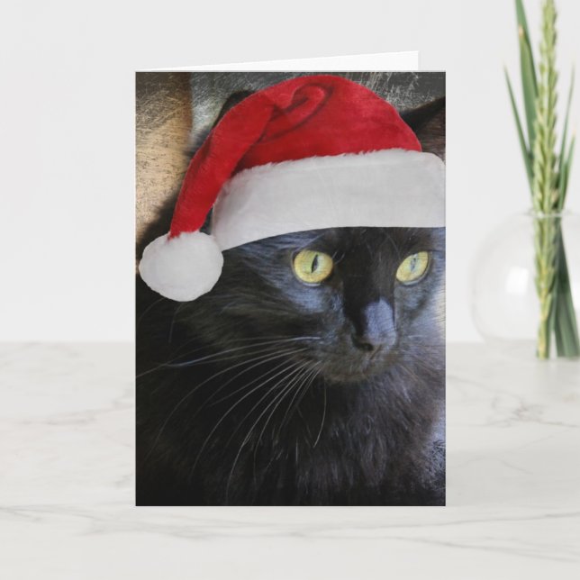 Niedliche Weihnachtskarte, Hübsche Schwarze Katze  Feiertagskarte (Vorderseite)