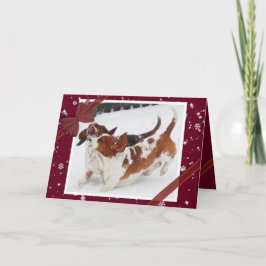 Niedliche Weihnachtskarte mit Basset-Hunden im Sch Feiertagskarte