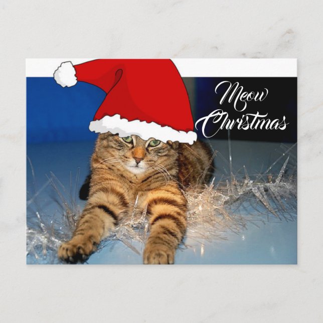 Niedliche Weihnachtskatze Postkarte mit Begrüßung (Vorderseite)